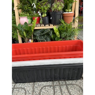 {Giá sốc + tặng vỉ lót} Chậu nhựa dài trồng cây, trồng rau 63x22x19 thích hợp mọi ban công