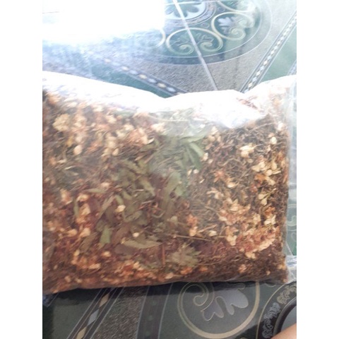 Trà Sơn Mật hồng sâm