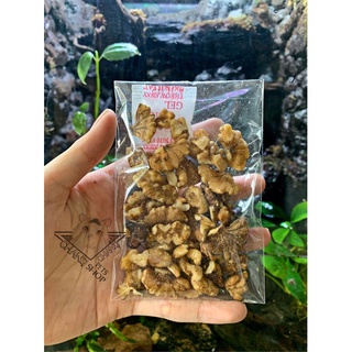 25gr óc chó nguyên chất dành cho hamster
