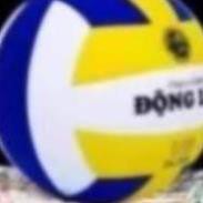 Bóng Chuyền Da Chính Hãng Động Lực DL200 Giá Rẻ