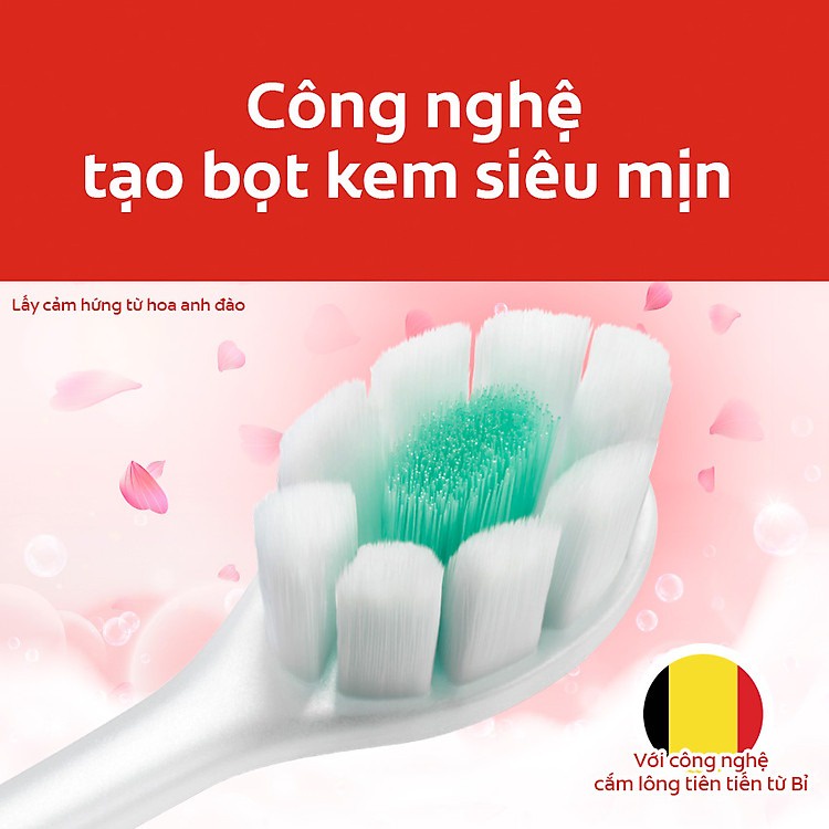 Bàn Chải Đánh Răng Colgate Cushion Clean Công Nghệ Tạo Bọt Kem Siêu Mịn