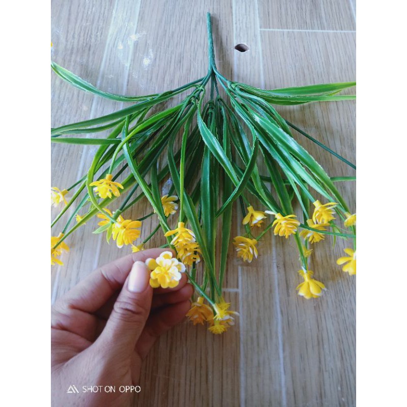 cụm điểm sen đá mini