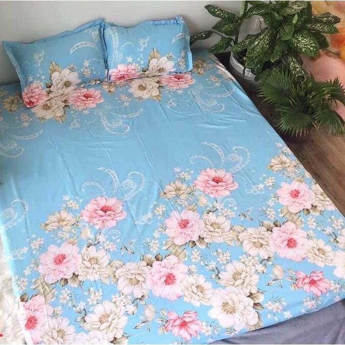 Bộ ga gối m2 2m giường đơn poly cotton, drap giường ( 1ga + 2 vỏ gối nằm)