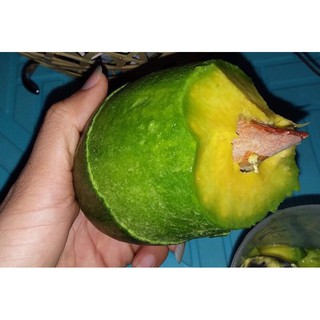 Bơ Không Tên Đầu Mùa Vàng Dẻo 3-4 trái 1kg (1kg)