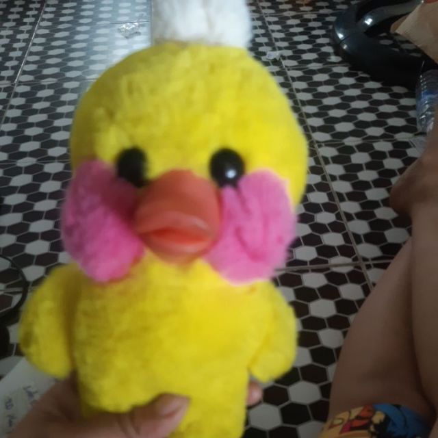 Gấu Đình Nghi 135