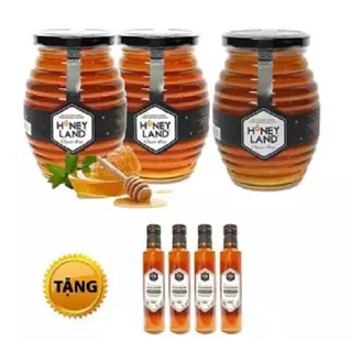 Combo 3 chai mật ong hoa Xuyến Chi 500gr/hũ +Tặng 4 Mật ong Điện Biên 380gr/chai