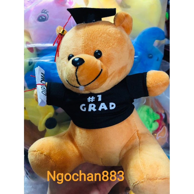 Gấu bông tốt nghiệp, gấu quà tặng loại đẹp