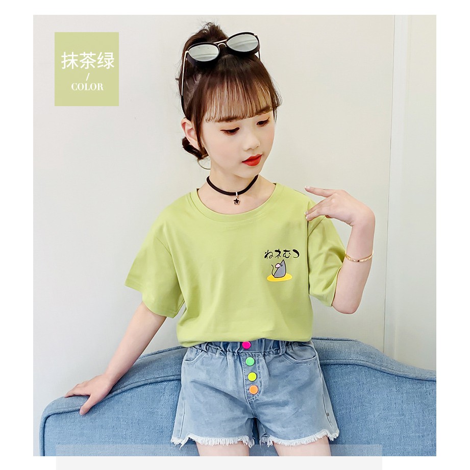 Áo phông bé gái size đai từ 20 -50kg họa tiết 5 chú mèo đáng yêu AH01