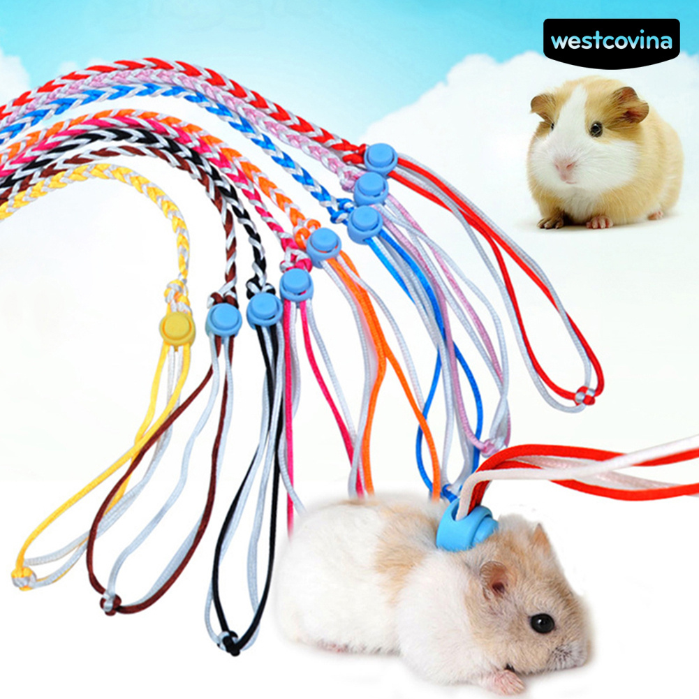 Dây Dắt Thú Cưng Đi Dạo Cỡ Nhỏ 1.4 / 2m