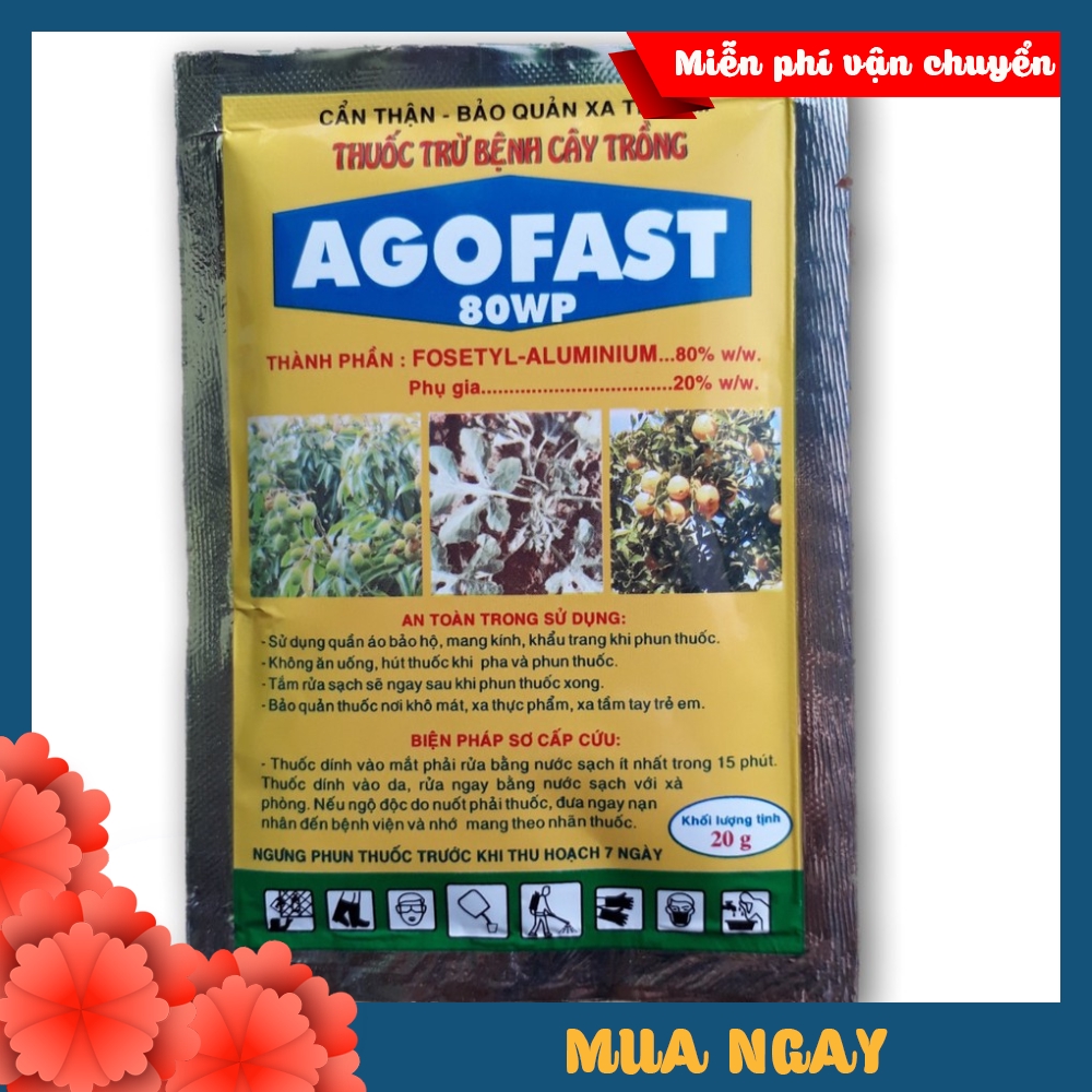 Thuốc trừ bệnh lưu dẫn Agofast 80WP 100g trị nứt thân, xì mủ, loét sẹo