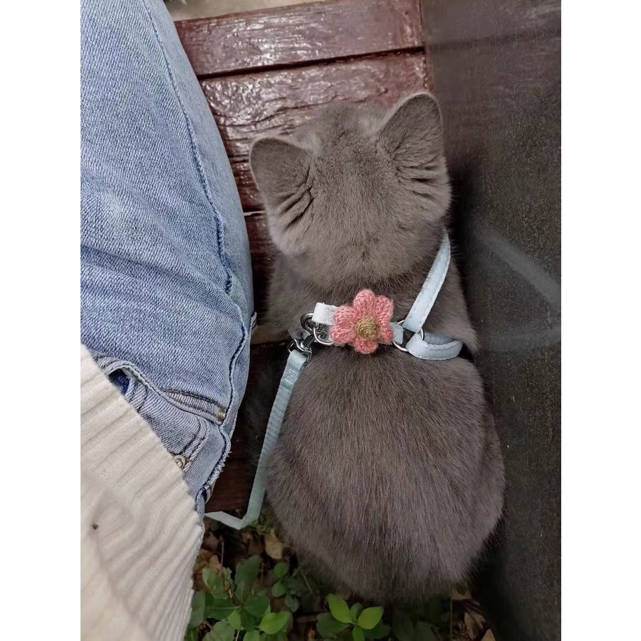 Dây dắt thú cưng đi dạo có thể điều chỉnh tiện lợi