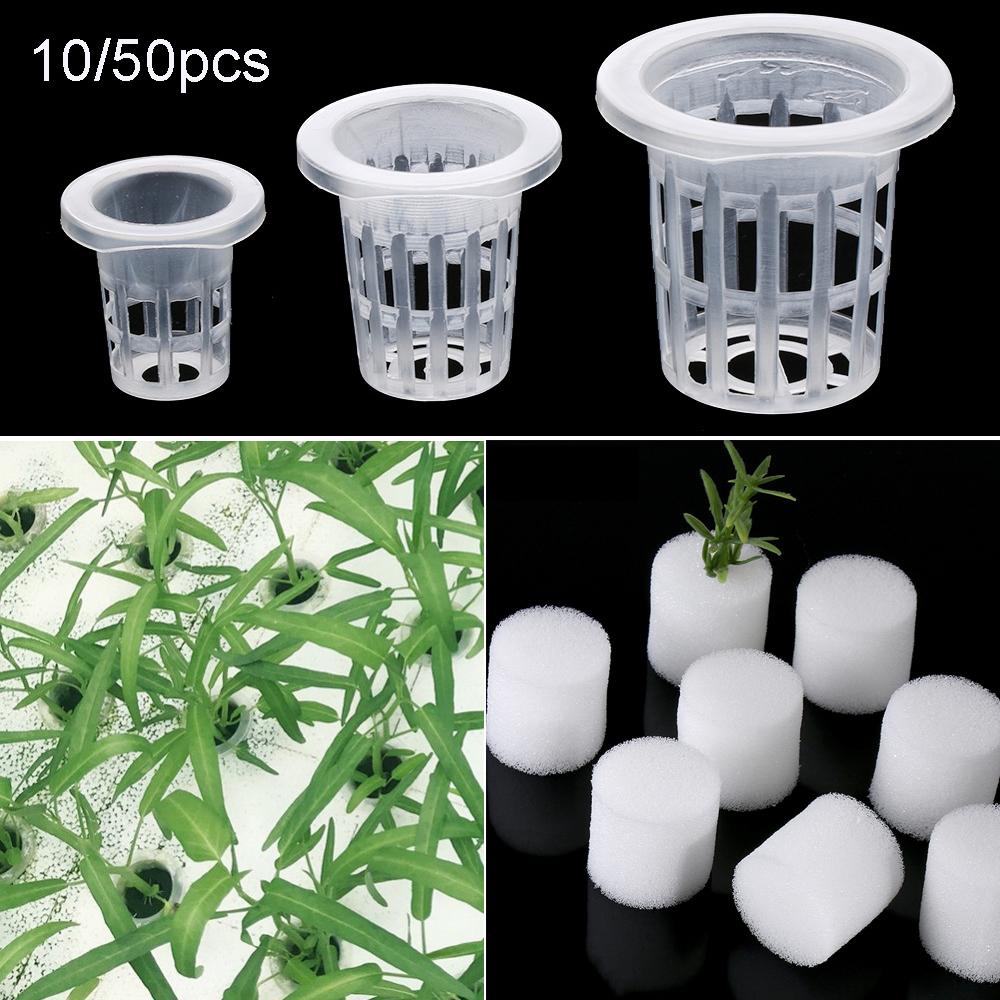 10 / 50 Chậu Trồng Cây Thủy Canh Không Cần Đất