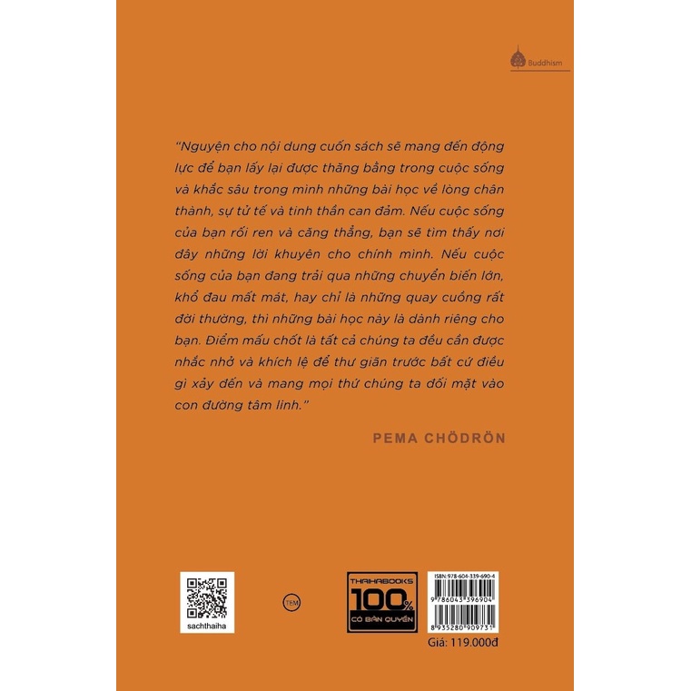 Sách - When Things Fall Apart - Khi Mọi Thứ Sụp Đổ - Lời Khuyên Chân Thành Trong Những Thời Điểm Khó Khăn - Pema Chodron