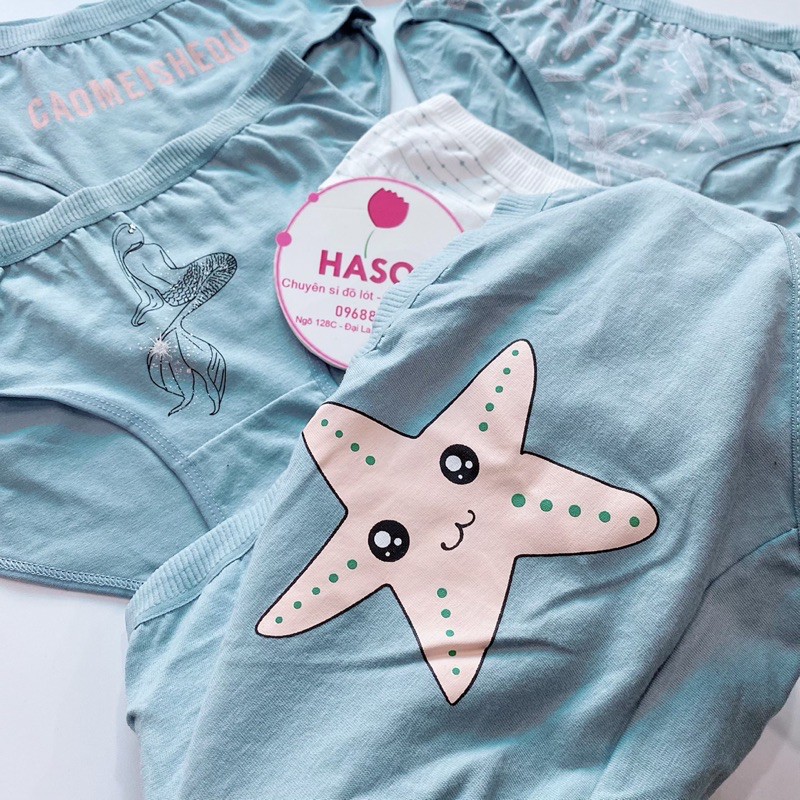  Quần Lót Nữ Cotton Kháng Khuẩn Y Tế Mềm Thoáng Hình Sao Biển S66 | BigBuy360 - bigbuy360.vn