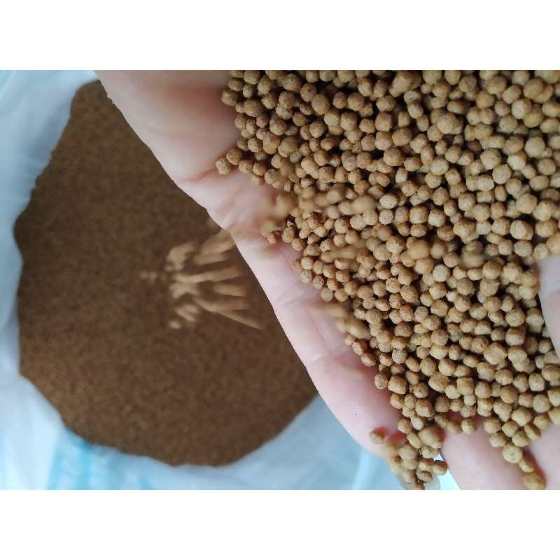 Cám max tanh  1mm đến 3mm chuẩn nuôi cá vàng ,cá koi. mồi câu rô, chép