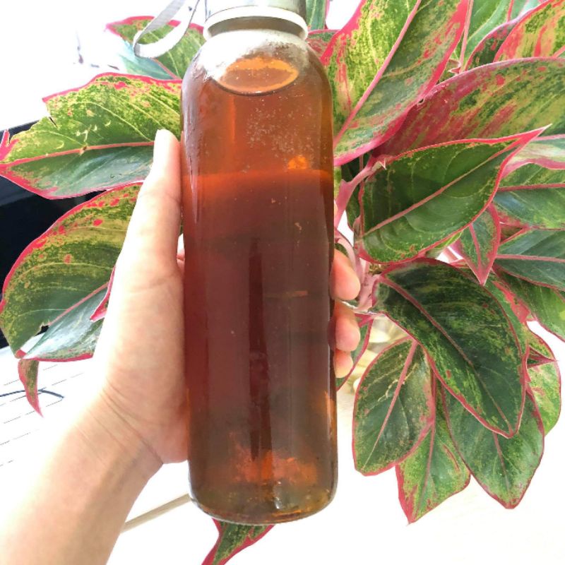 Mật ong Hoa rừng nguyên chất 0,5 lít