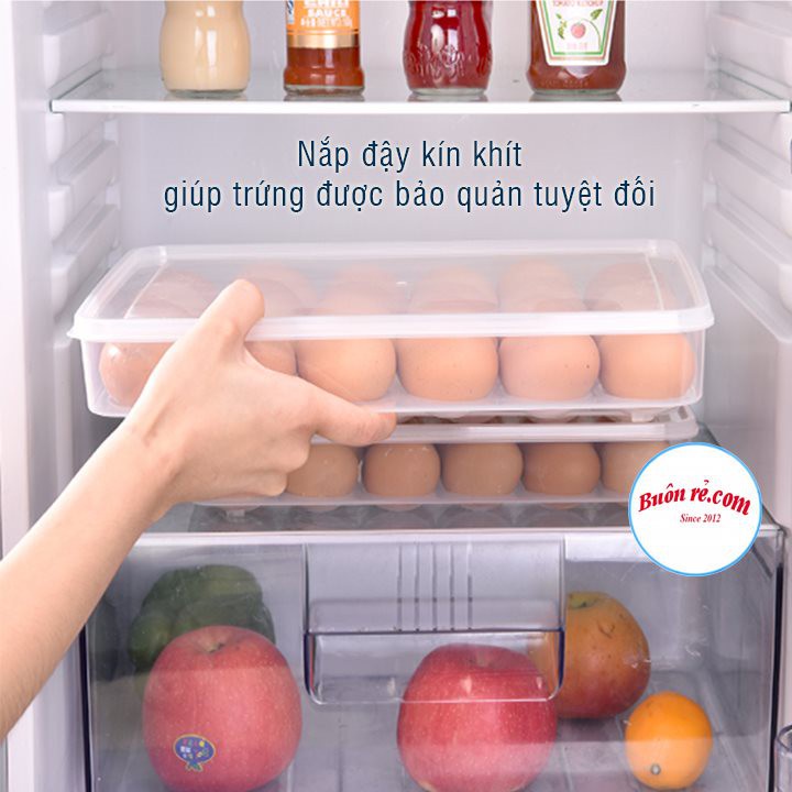 Hộp đựng trứng 24 quả có nắp đậy nhựa Việt Nhật (6786), khay bảo quản trứng không bị vỡ chắc chắn