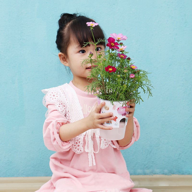 Bộ đồ chơi trồng cây nhựa cho bé