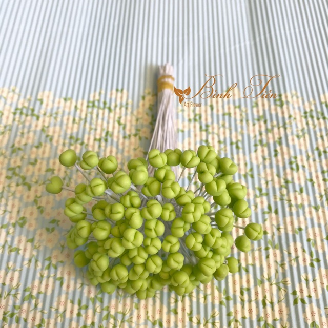 Nhuỵ Lily- 100 nhuỵ