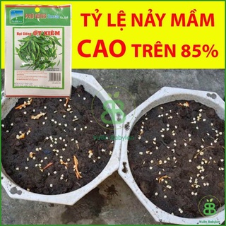 Hạt Giống Ớt Xiêm