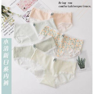 HÈ Quần chip cotton >> 💯 ་ new , ) !