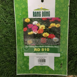 Hạt giống hoa mười giờ nhiều màu rado 810