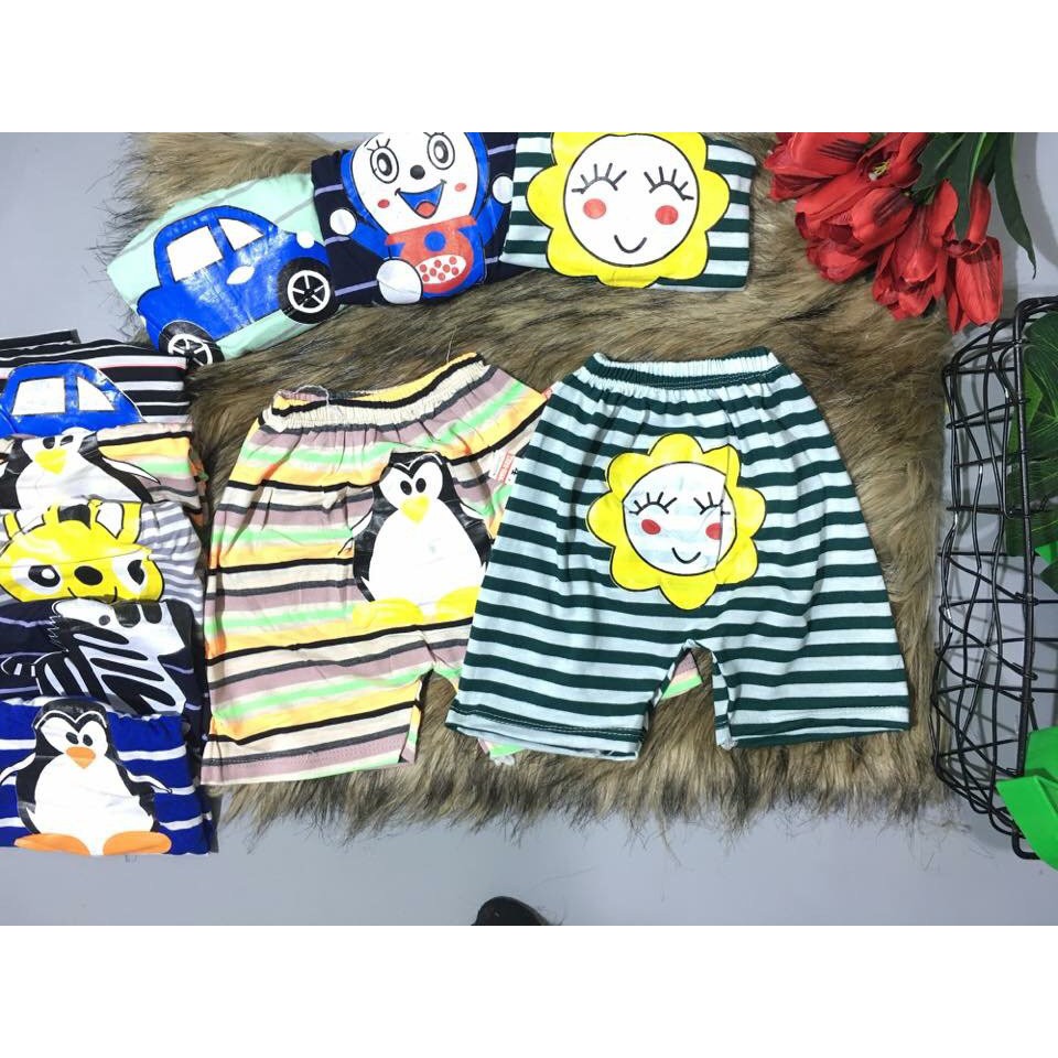 combo quần mông thú