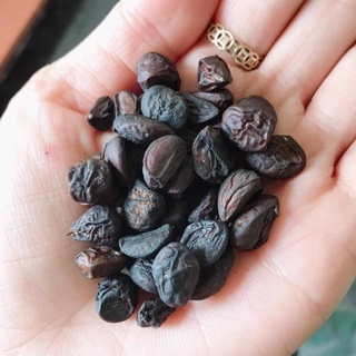 100g HẠT DỔI NẾP LOẠI ĐẶC BIỆT
