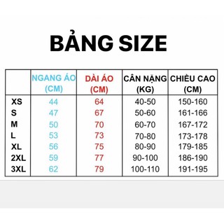 Áo Champion - basic - hàng order 1-2 ngày