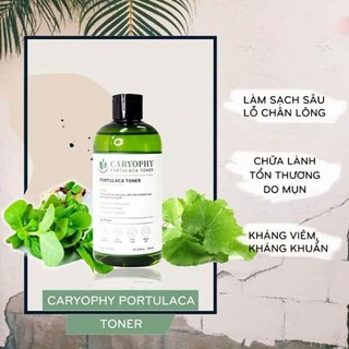 Bộ 3 Sản Phẩm Trị Mụn Thâm Tận Gốc Caryophy