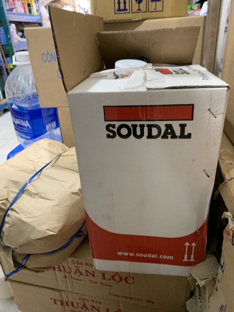 Bọt Foam nở cố đinh Soudal 750ml