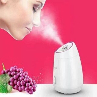 Máy xông mặt hoa quả maoer