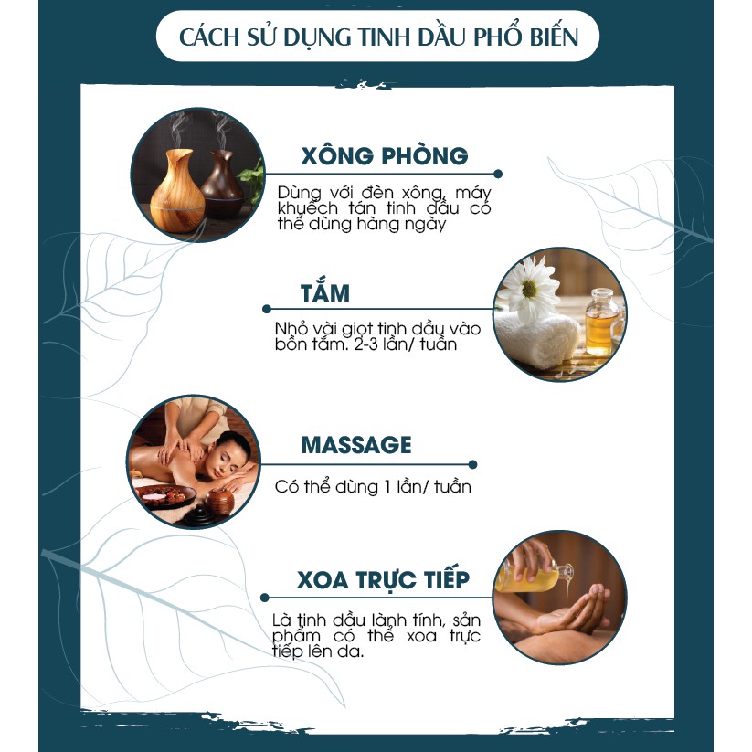 [GIÁ DÙNG THỬ] Tinh dầu cao cấp Phong Lữ Cao Cấp PK 5ml, xông phòng, giảm căng thẳng