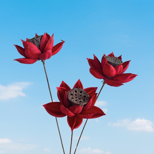 Hoa Sen Gỗ Khô Có Nhụy❤️FREESHIP❤️ Decor trang trí Vintage