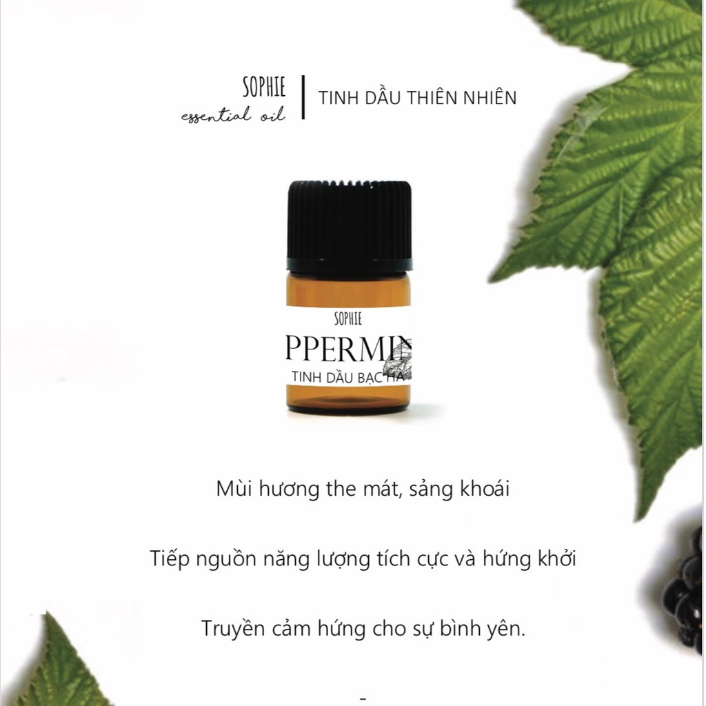 Tinh Dầu Xông Hơi Sophie Essential Oil