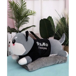 Gấu Bông Có Mền - Chăn Gối Văn Phòng 3in1 Mèo Shiba