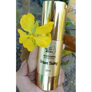 Serum dưỡng da ngọc linh sâm