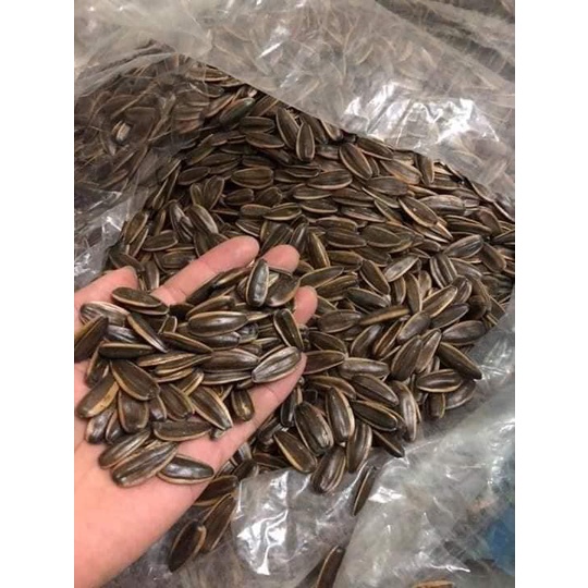 1 thùng 5 kg Hạt Hướng Dương Tẩm Vị, Hạt Dướng Dương To, Mẩy Siêu Đậm Vị Vị Dừa, Vị Caramen, Vị Táo Đỏ