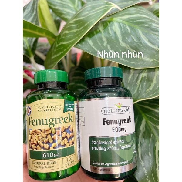 (Date mới)Cỏ lợi sữa Fenugreek chính hãng Uk -date mới theo lô