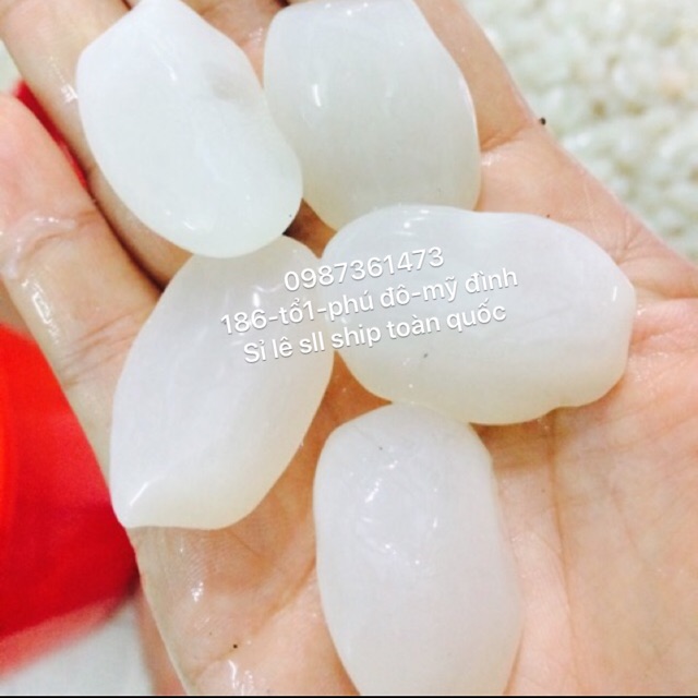 Hạt đác quỳnh tây sỉ lẻ sll