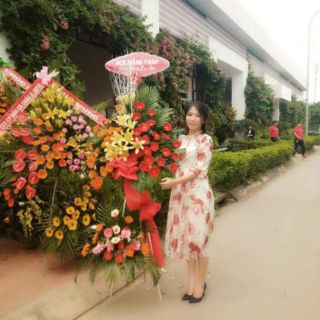 Đầm thanh lý (new 99%)