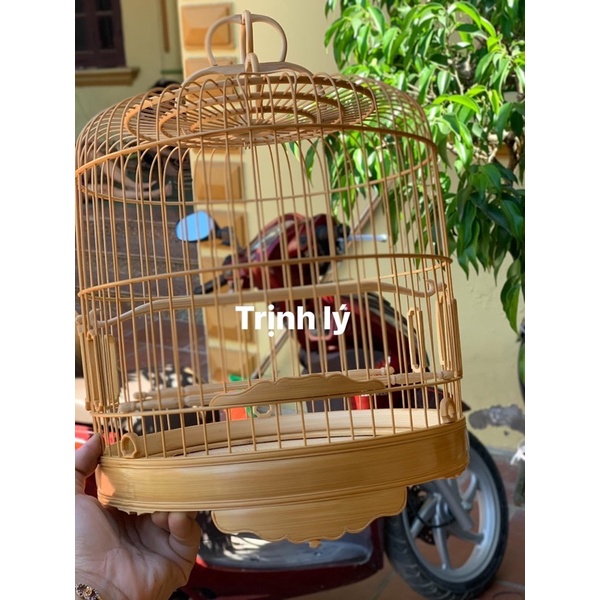 LỒNG POLUNG CAO CẤP.