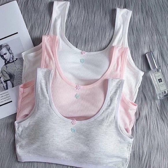 Áo lót áo bra học sinh cotton mềm đẹp_BR26