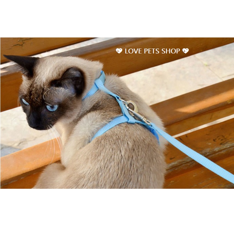 DÂY DẮT MÈO KÈM YẾM &quot;MẪU MỚI&quot; - LOVE PETS SHOP