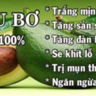 Serum tinh chất bơ và tinh bột bơ