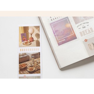 Dây ảnh sticker 45x350 (có sẵn)