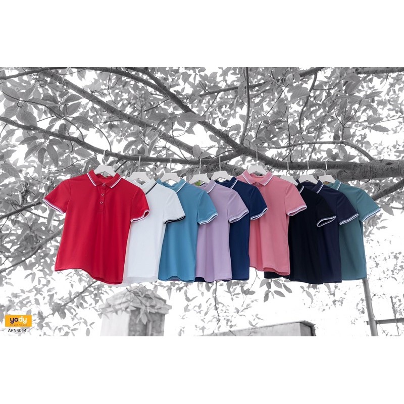 Áo thun POLO nữ hiệu Yody. (Hàng chuẩn công ty)