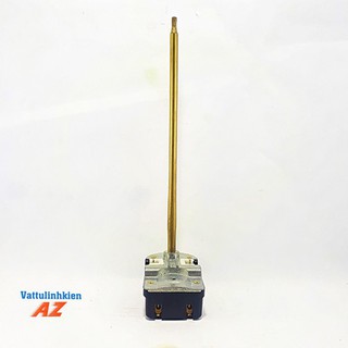 Rơ le cọc bình nóng lạnh