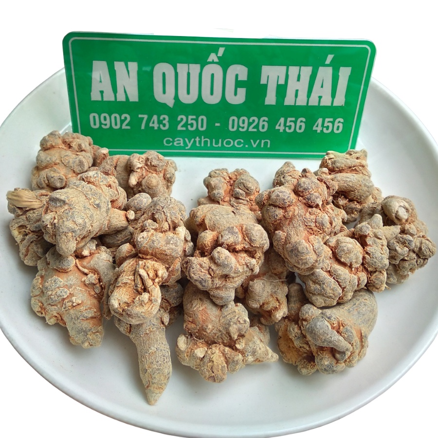 Củ Tam Thất Bắc 500g (Chuẩn Rừng) Loại 50, 60, 70 Củ/kg, Tam Thất Bắc Hà Giang Loại 1, Đều, Đẹp