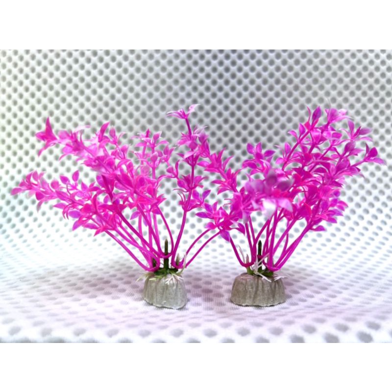 Cây nhựa trang trí Cho Ốc Leo Cao 10cm